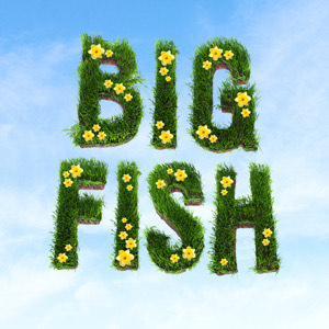 Over a backdrop of the sky are patches of grass shaped into letters that read BIG FISH.