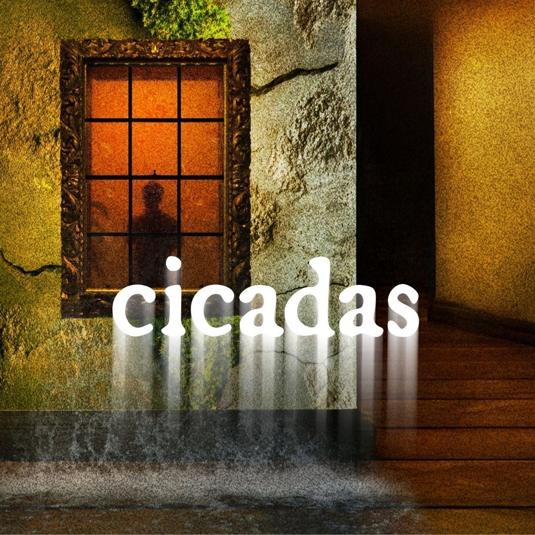cicadas