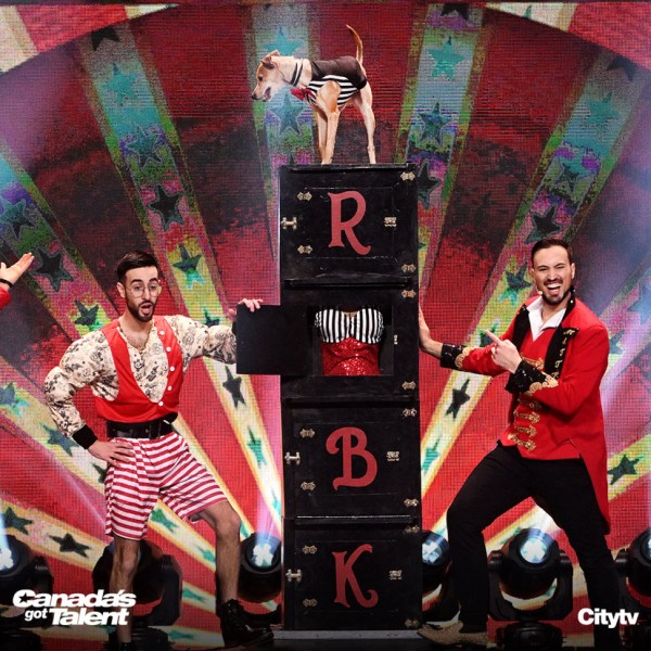 The Canine Circus appears on Canada's Got Talent