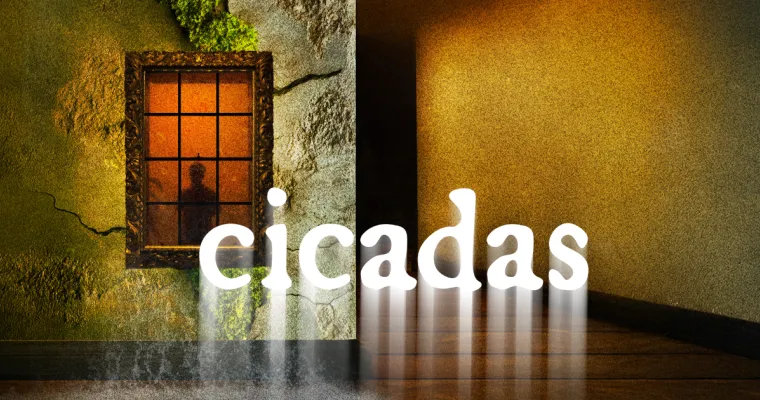 cicadas