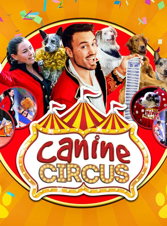 The Canine Circus
